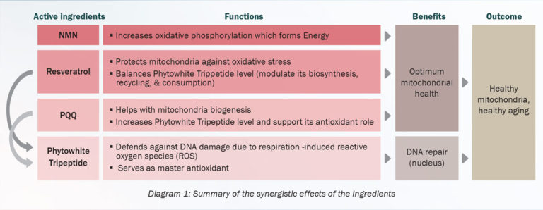 Liposomal NMN Ultra Booster – LABRMS